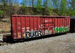 MTNR 175372